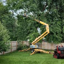 Why Choose Our Tree Removal Services in Mount Ayr, IA?